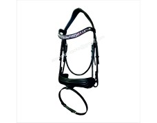 Leather Bridle 